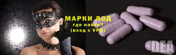 гидра Заводоуковск