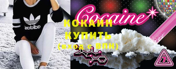 гидра Заводоуковск